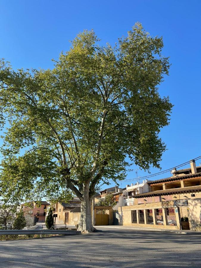 El Rincon De Tono Pensión Pomar (Aragon)
