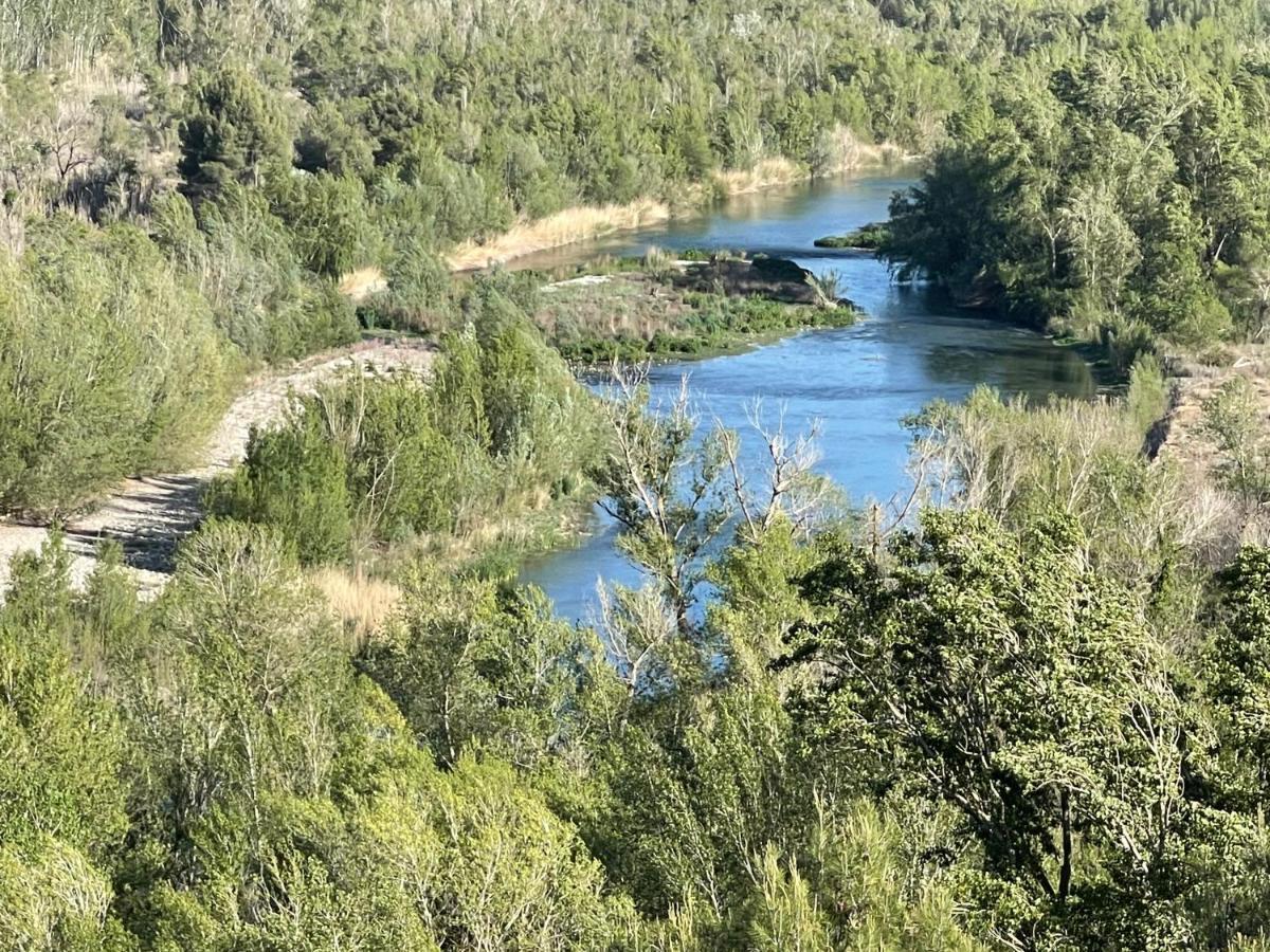 Gasthuis El Rincon De Tono