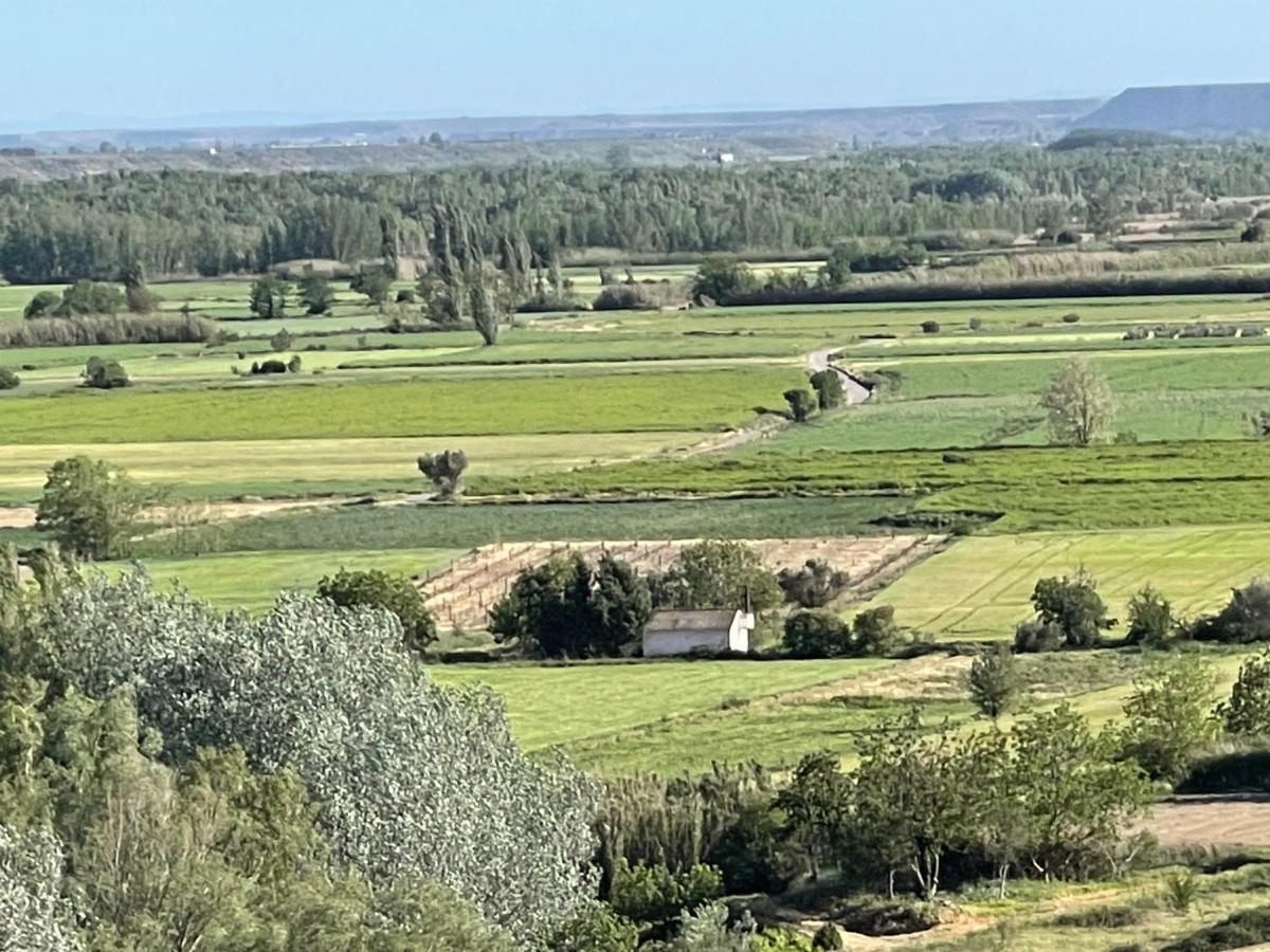 El Rincon De Tono Gasthuis *